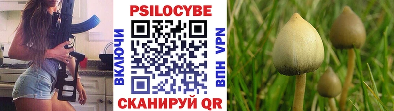 Купить где Белогорск Псилоцибиновые грибы мицелий